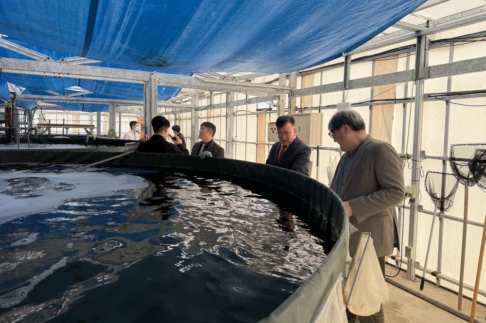 写真の説明を入れます